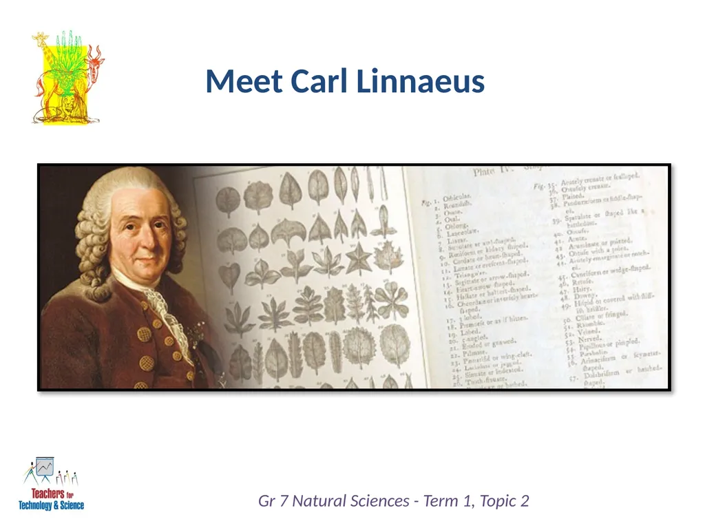 Natural Sciences Grade 7 Term 1: Life and Living - slide 6 of 17