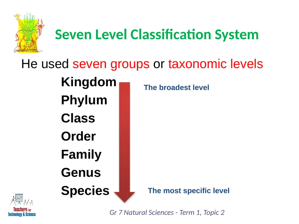 Natural Sciences Grade 7 Term 1: Life and Living - slide 8 of 17