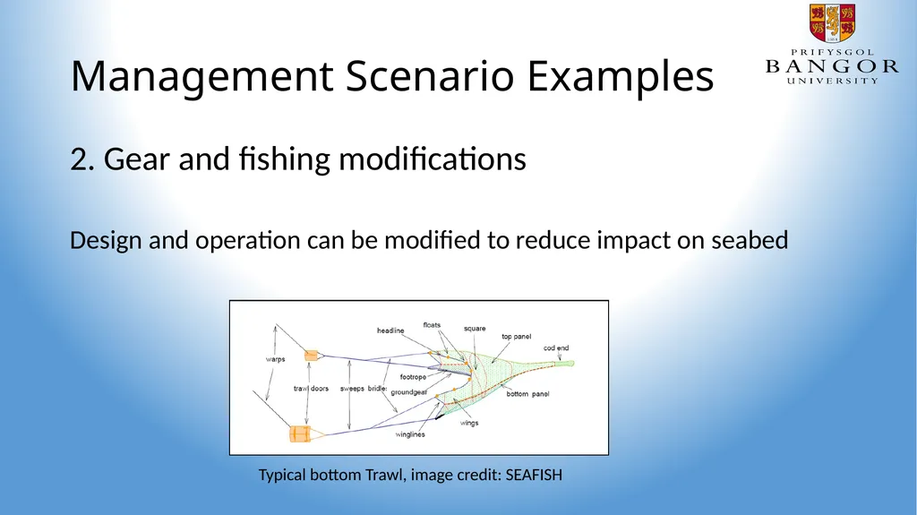 Management Scenarios Task: 1. Design 4 possible - slide 4 of 8
