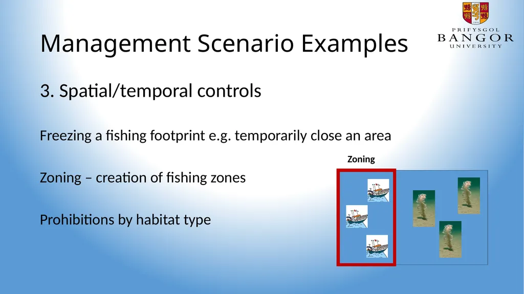 Management Scenarios Task: 1. Design 4 possible - slide 5 of 8