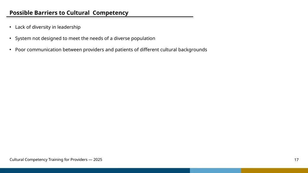 Cultural Competency Training for Providers — 2025 - slide 17 of 31