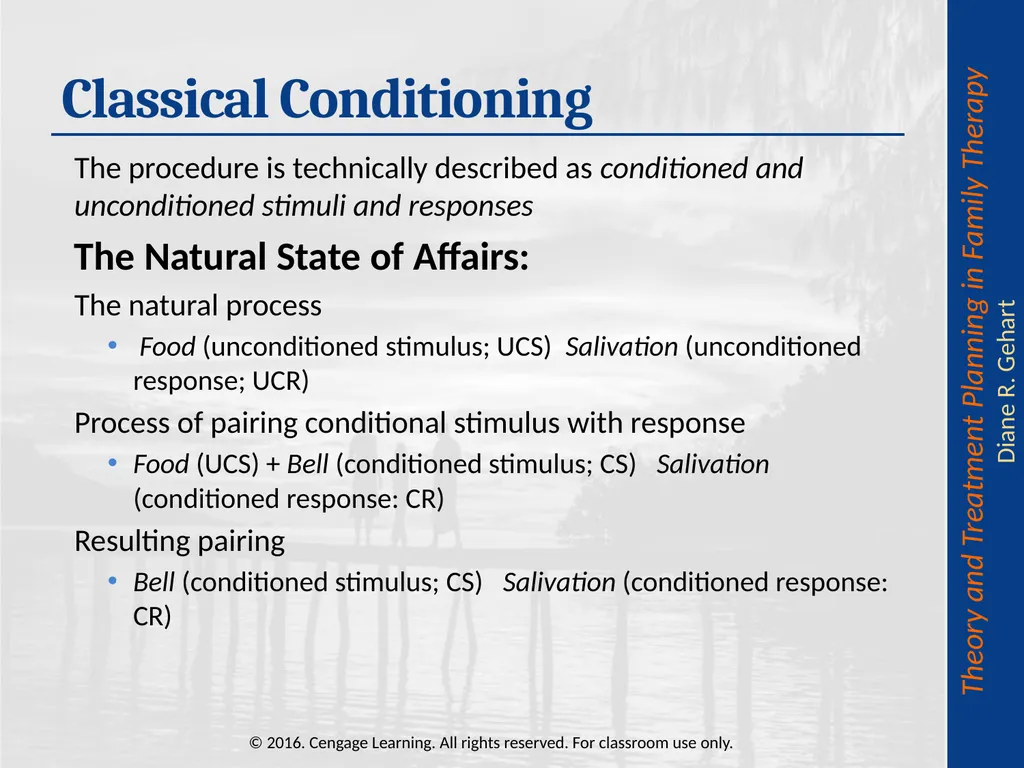 Chapter 8: Cognitive-Behavioral and - slide 18 of 67