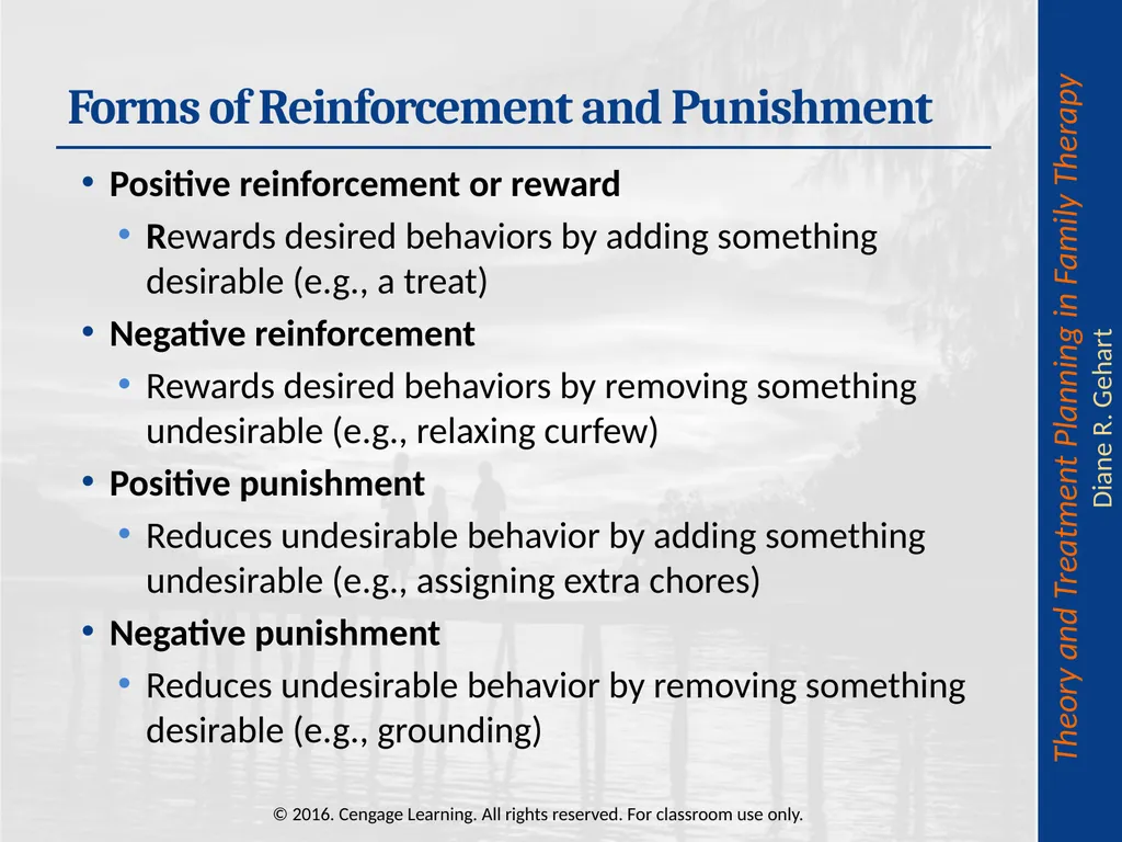 Chapter 8: Cognitive-Behavioral and - slide 20 of 67