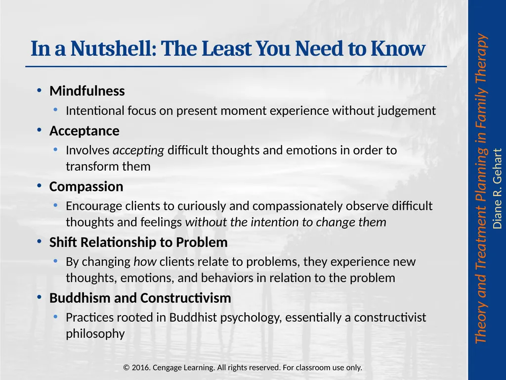 Chapter 8: Cognitive-Behavioral and - slide 33 of 67