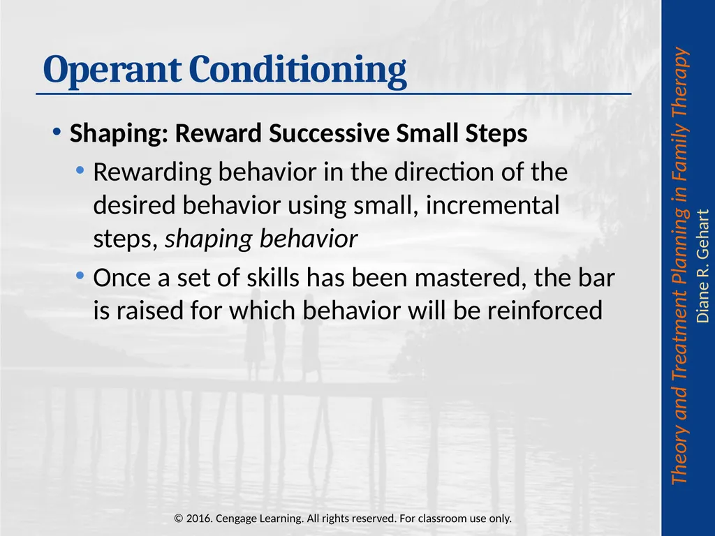 Chapter 8: Cognitive-Behavioral and - slide 19 of 67