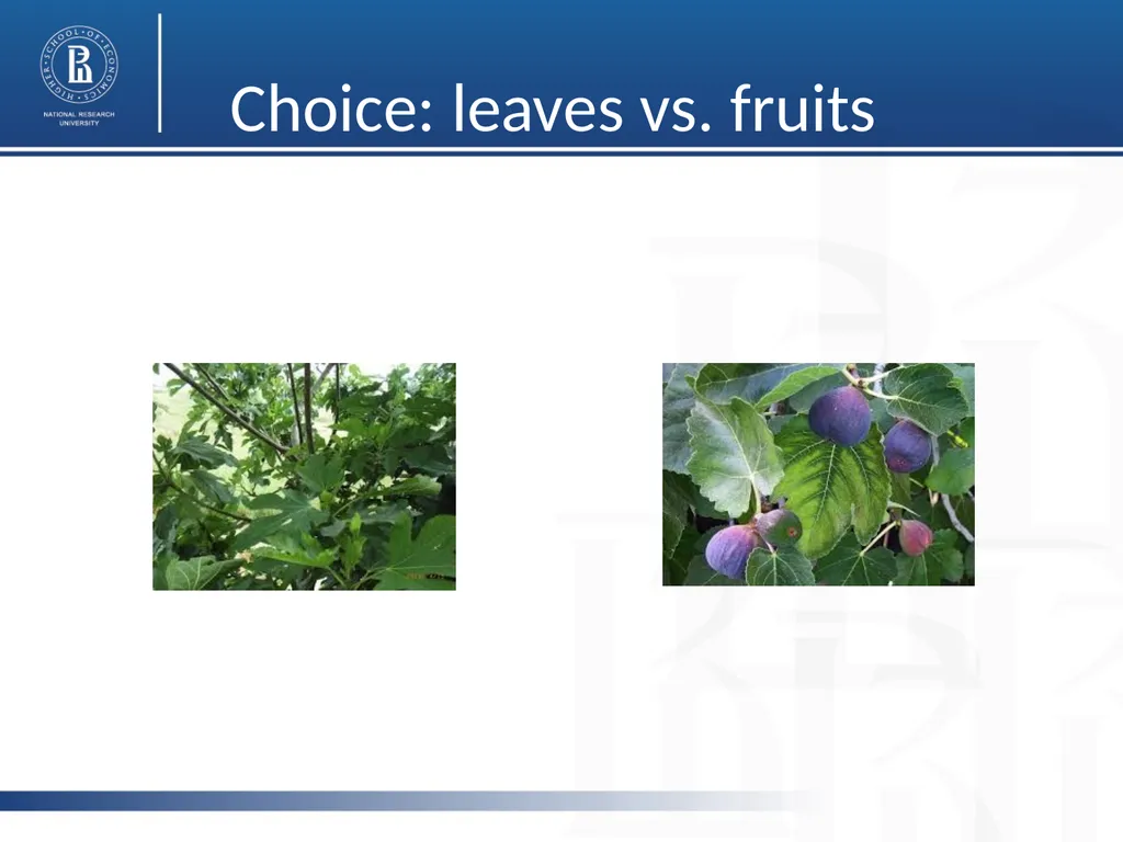 Carl Rogers Annual Birthday Conference January - slide 20 of 22