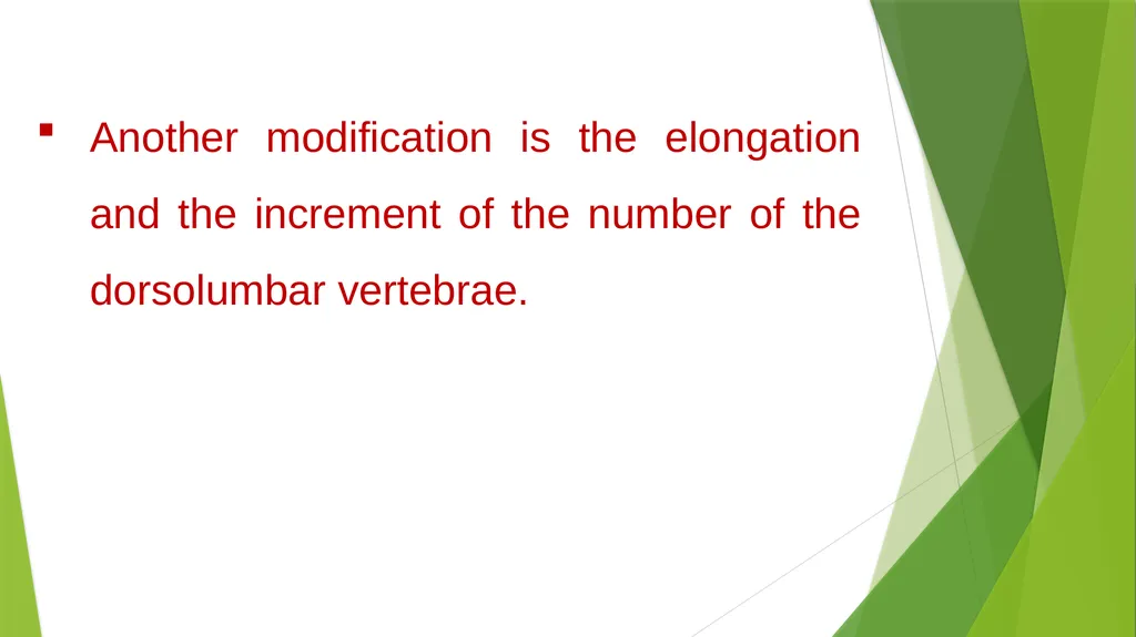 Arboreal Adaptation Arborial? Arboreal Locomotion - slide 8 of 14