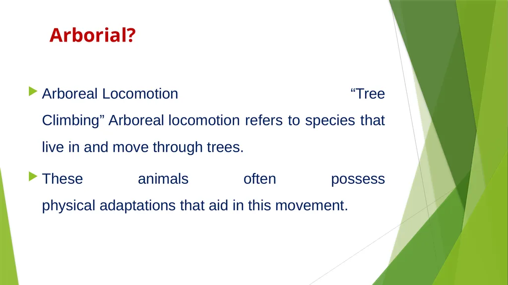 Arboreal Adaptation Arborial? Arboreal Locomotion - slide 2 of 14