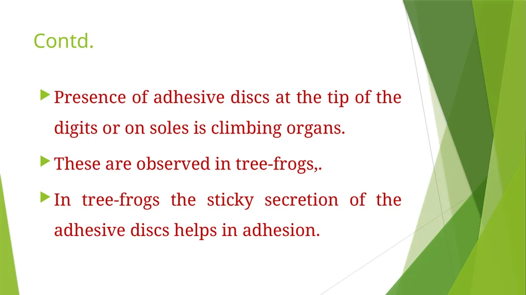 Arboreal Adaptation Arborial? Arboreal Locomotion - slide 11 of 14