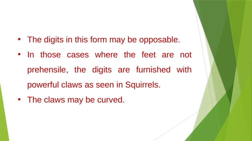 Arboreal Adaptation Arborial? Arboreal Locomotion - slide 10 of 14