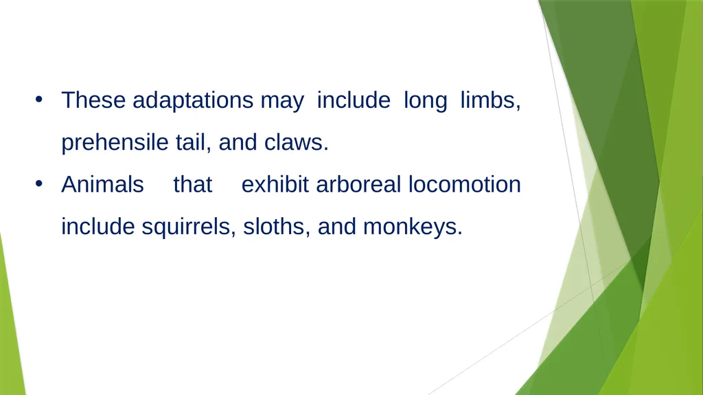 Arboreal Adaptation Arborial? Arboreal Locomotion - slide 3 of 14