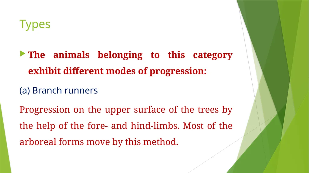 Arboreal Adaptation Arborial? Arboreal Locomotion - slide 5 of 14
