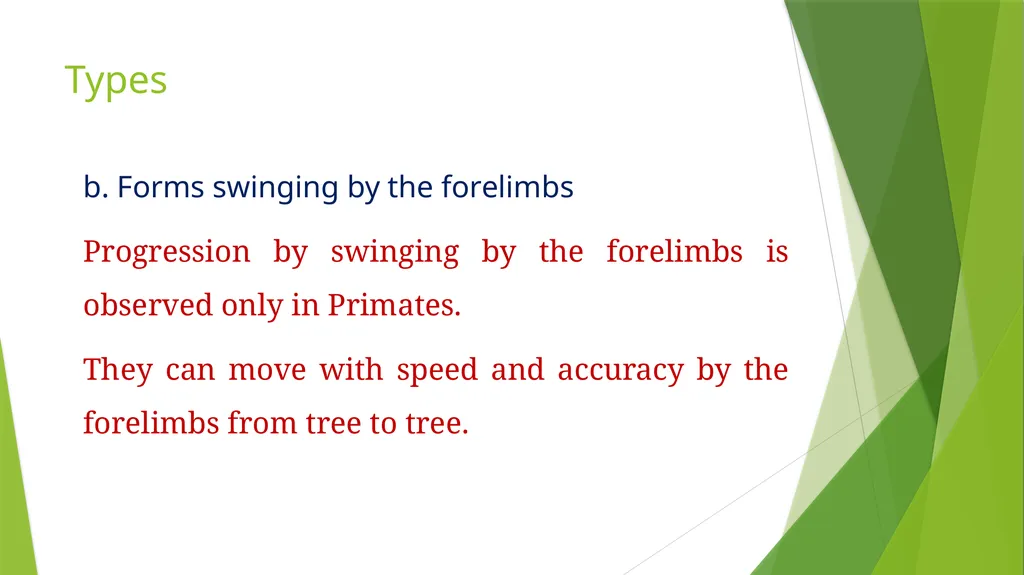 Arboreal Adaptation Arborial? Arboreal Locomotion - slide 6 of 14