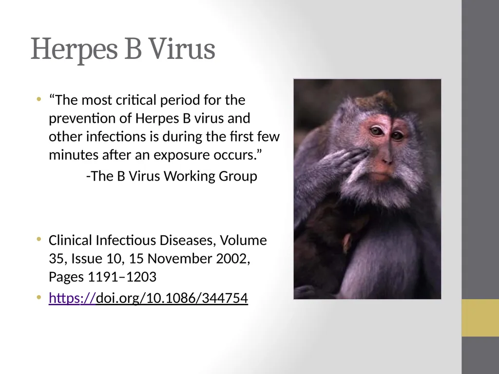 Nonhuman Primate Post Exposure Plan What should I - slide 7 of 8