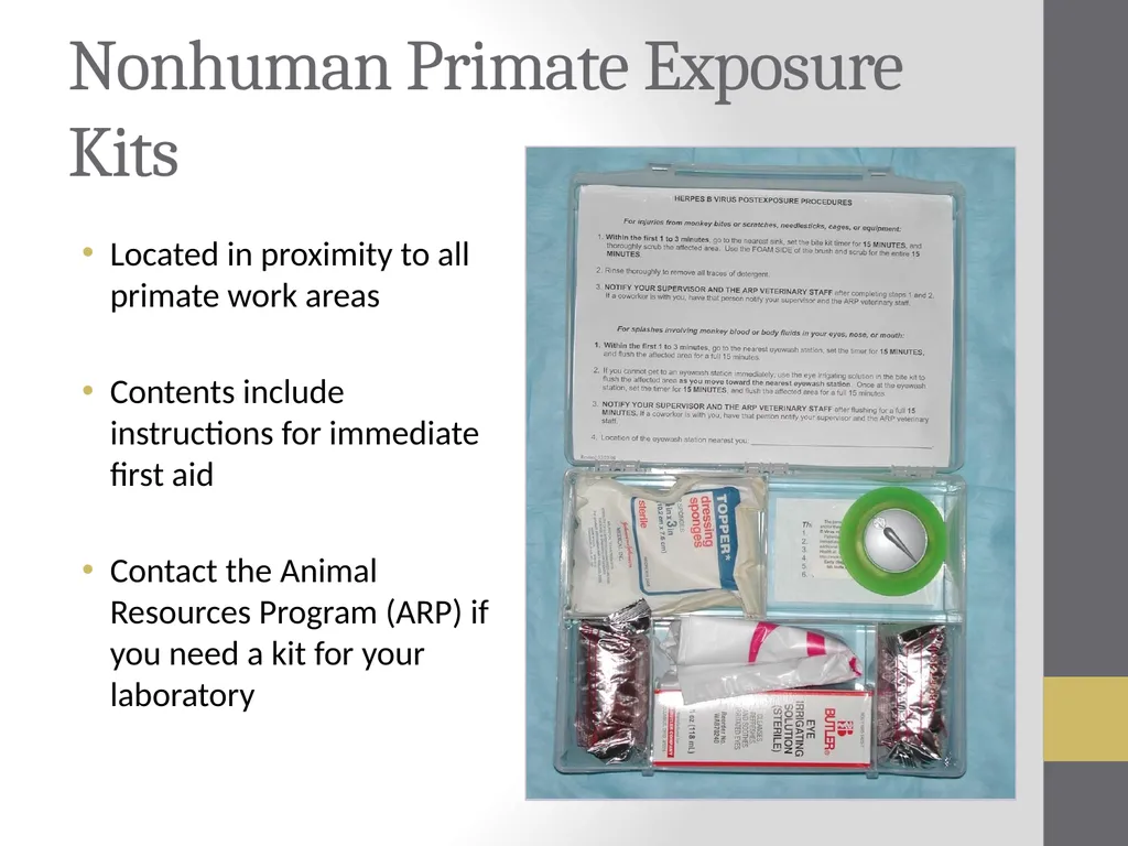Nonhuman Primate Post Exposure Plan What should I - slide 3 of 8
