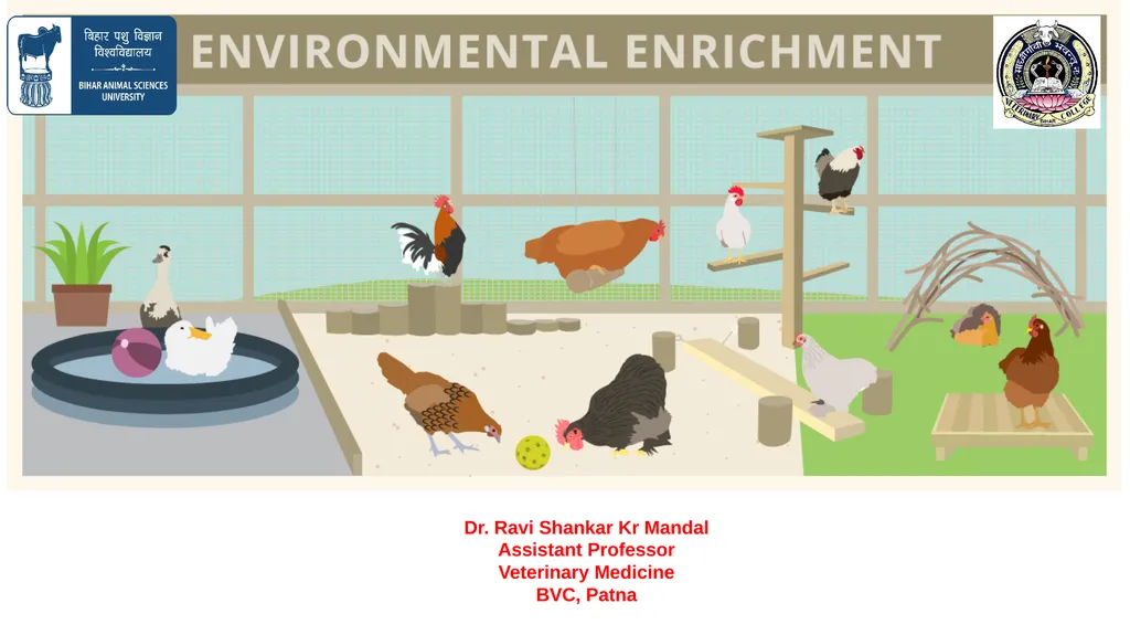 ENVIRONMENTAL ENRICHMENT Dr. Ravi Shankar Kr - slide 1 of 15
