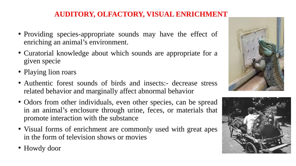 ENVIRONMENTAL ENRICHMENT Dr. Ravi Shankar Kr - slide 9 of 15