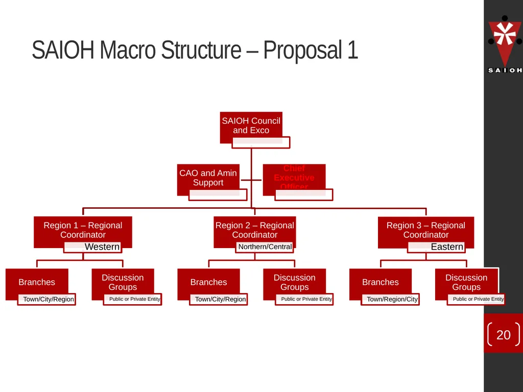 SAIOH Structuring of SAIOH – Regional Conferences - slide 20 of 29