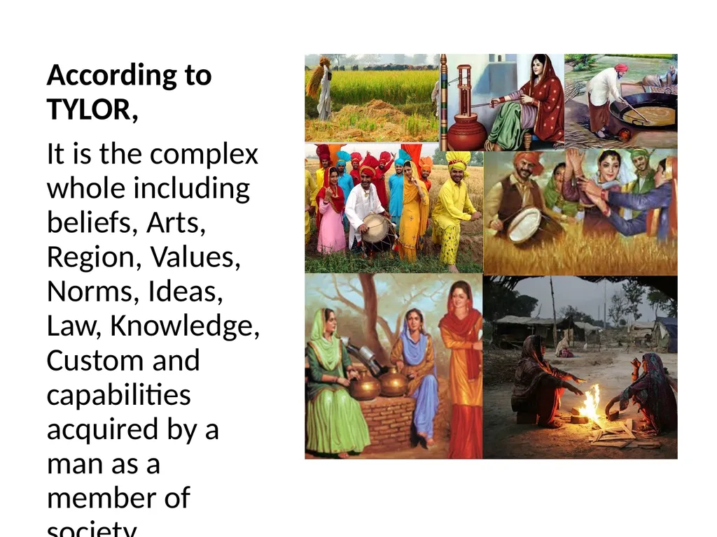 3.1 MAIN CHARACTERISTICS OF CULTURE MAIN - slide 4 of 13