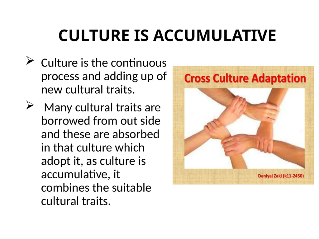 3.1 MAIN CHARACTERISTICS OF CULTURE MAIN - slide 11 of 13