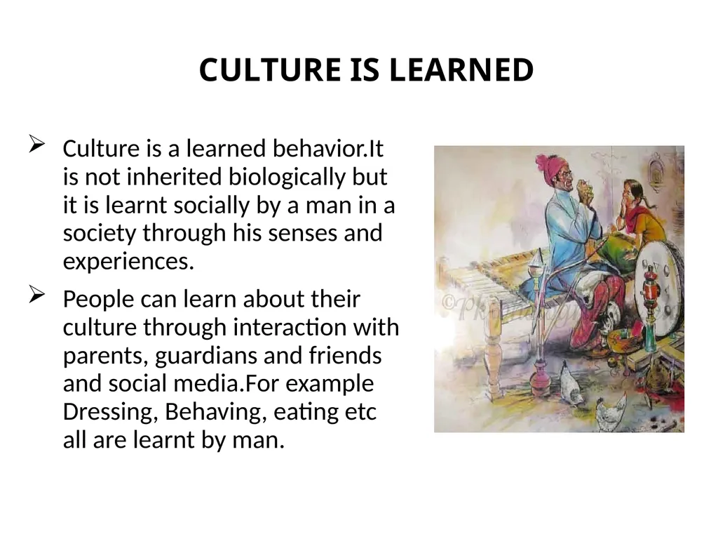 3.1 MAIN CHARACTERISTICS OF CULTURE MAIN - slide 6 of 13