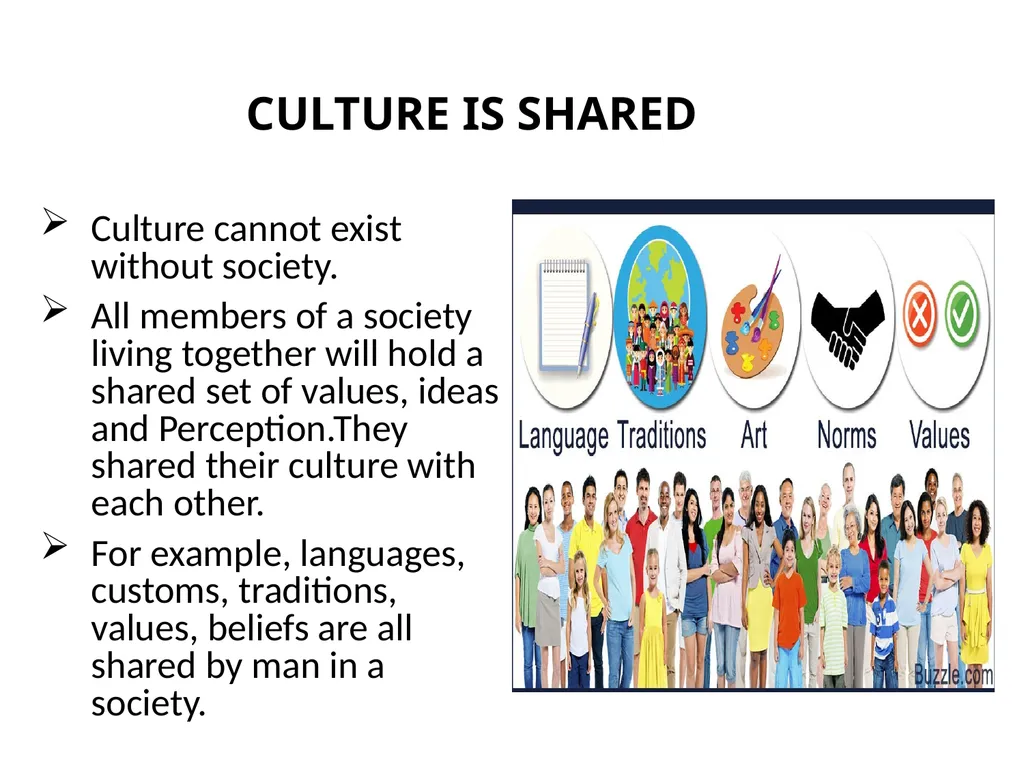 3.1 MAIN CHARACTERISTICS OF CULTURE MAIN - slide 7 of 13
