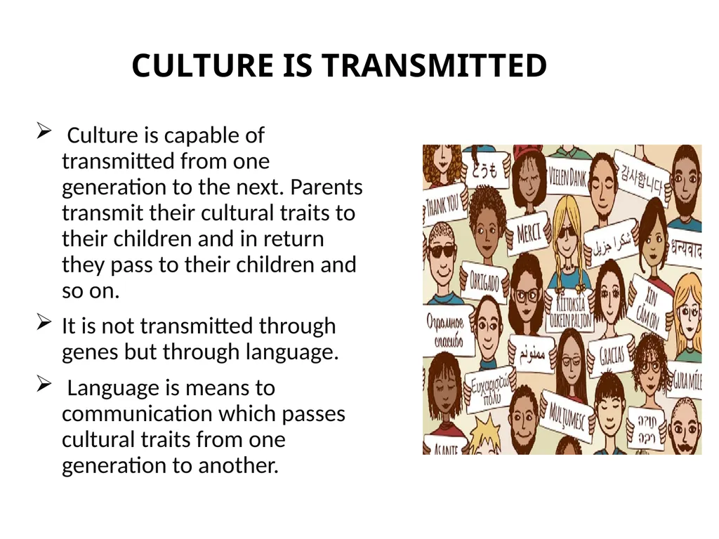 3.1 MAIN CHARACTERISTICS OF CULTURE MAIN - slide 9 of 13