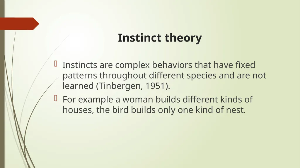 Motivation and its types Zainab Khalid (Clinical - slide 8 of 20