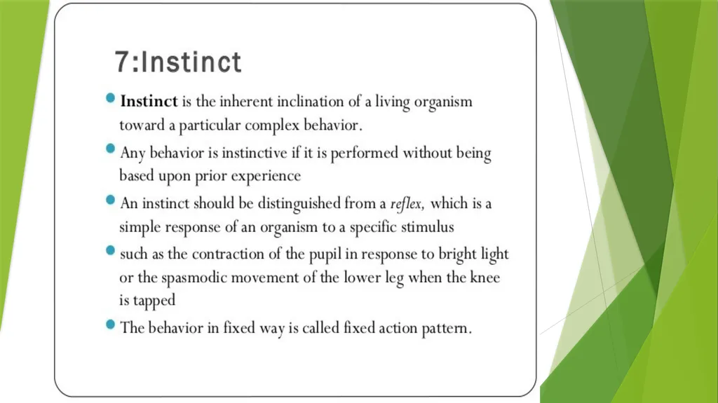INSTINCT- FIXED ACTION PATTERN BY : DR. NILOFER - slide 2 of 14