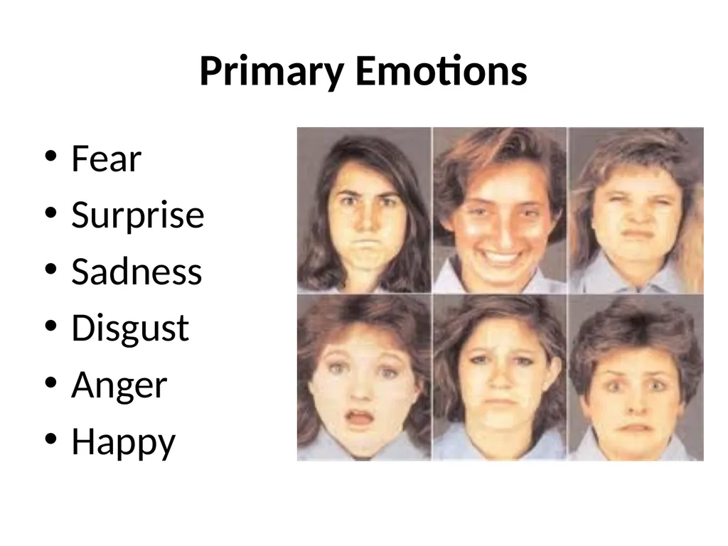 Motivation and Emotion What is Motivation? The - slide 21 of 27