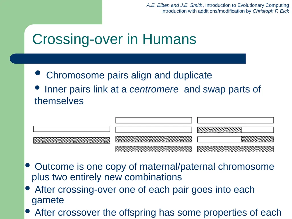 Introduction to Evolutionary Computing 1 News Feb. - slide 18 of 31