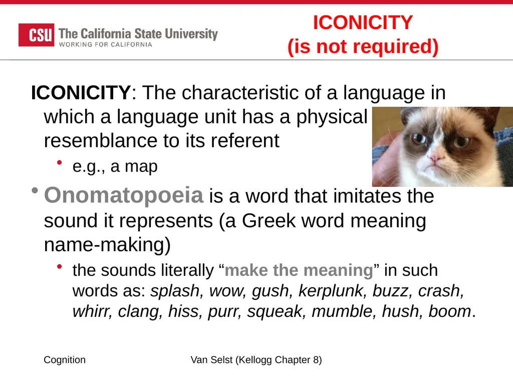 COGNITION Chapter 8: Language Fundamentals of - slide 14 of 38