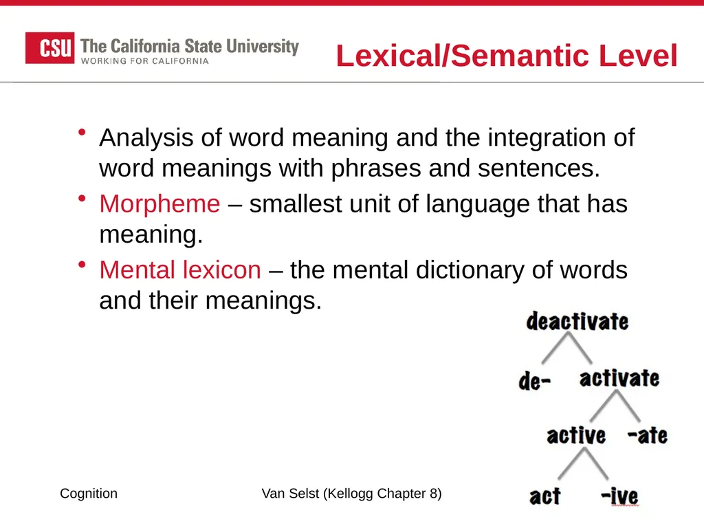 COGNITION Chapter 8: Language Fundamentals of - slide 20 of 38