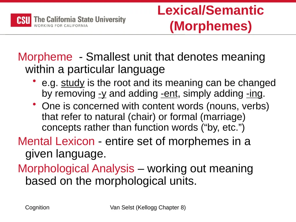 COGNITION Chapter 8: Language Fundamentals of - slide 21 of 38