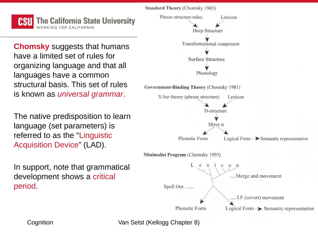 COGNITION Chapter 8: Language Fundamentals of - slide 28 of 38