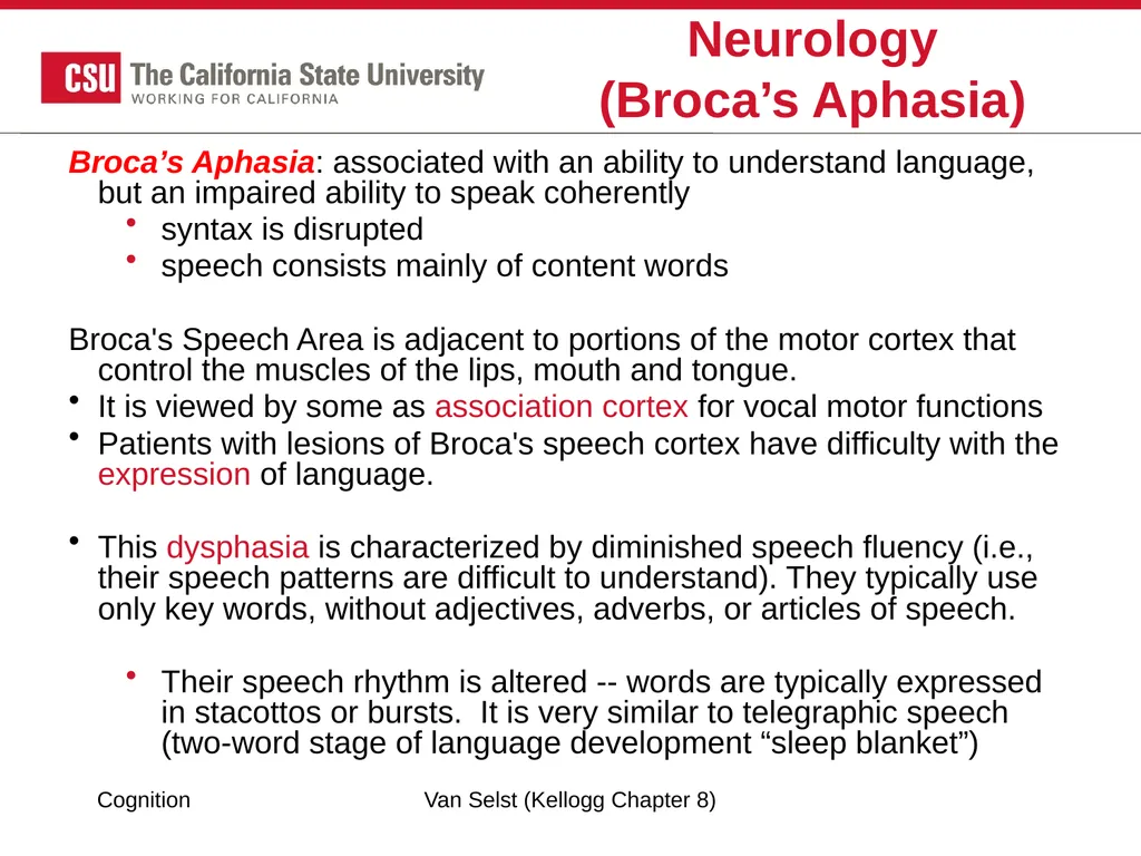 COGNITION Chapter 8: Language Fundamentals of - slide 30 of 38