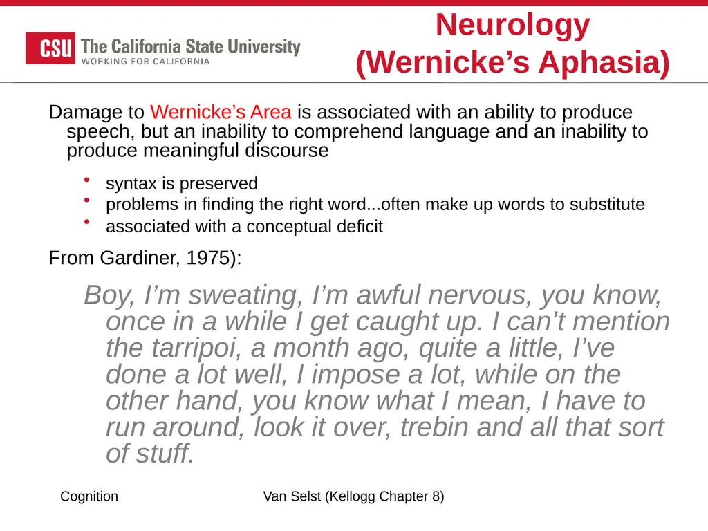 COGNITION Chapter 8: Language Fundamentals of - slide 31 of 38