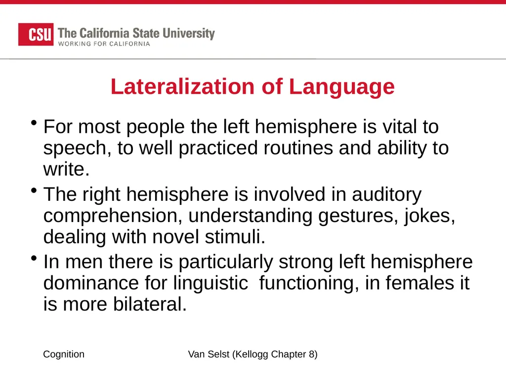 COGNITION Chapter 8: Language Fundamentals of - slide 33 of 38