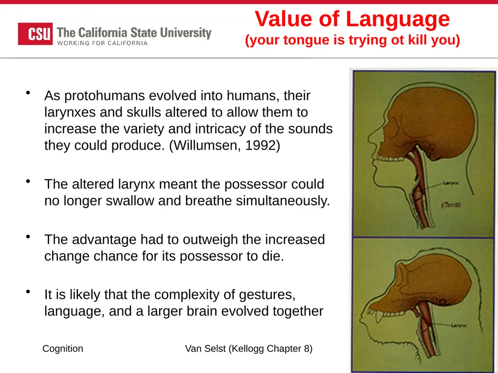 COGNITION Chapter 8: Language Fundamentals of - slide 4 of 38