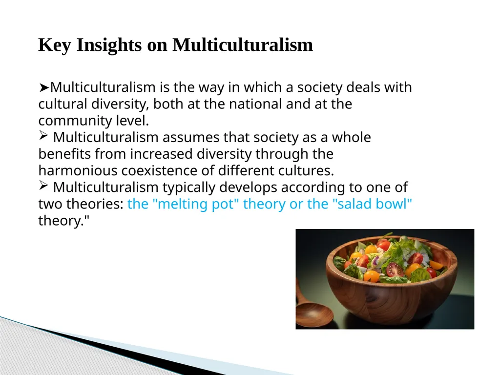 Course Title: Democracy and Multiculturalism - slide 4 of 12