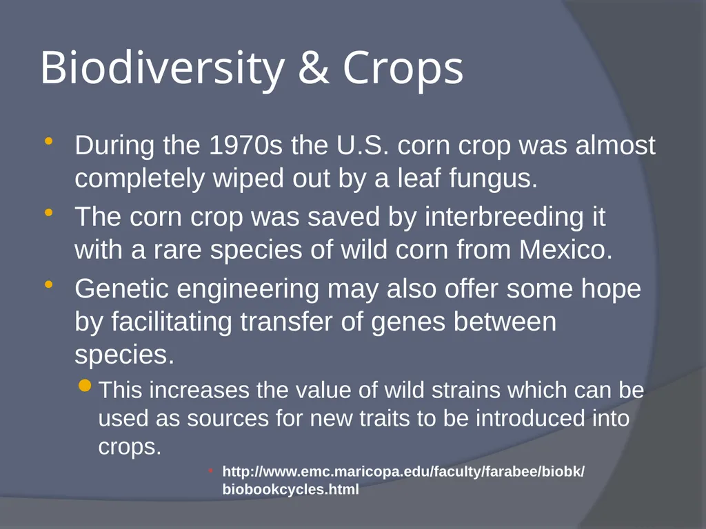 Extinctions: The End of Biodiversity What is - slide 17 of 19