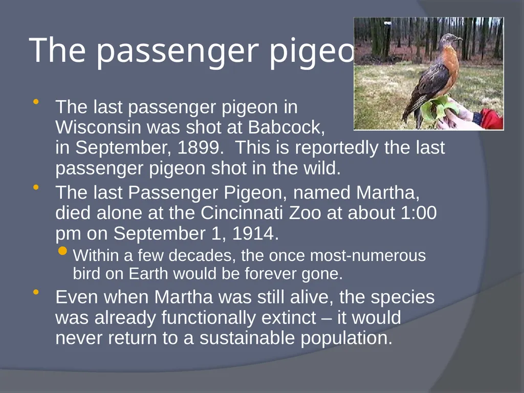 Extinctions: The End of Biodiversity What is - slide 3 of 19