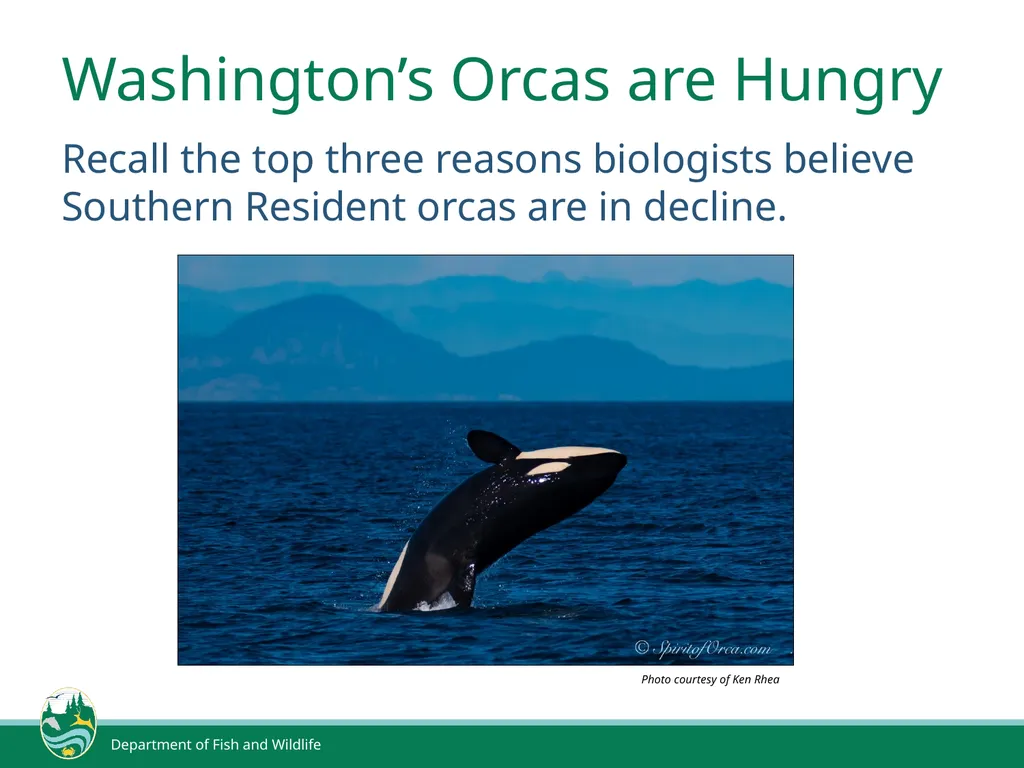 Declining Populations Biologists have noticed a - slide 6 of 8