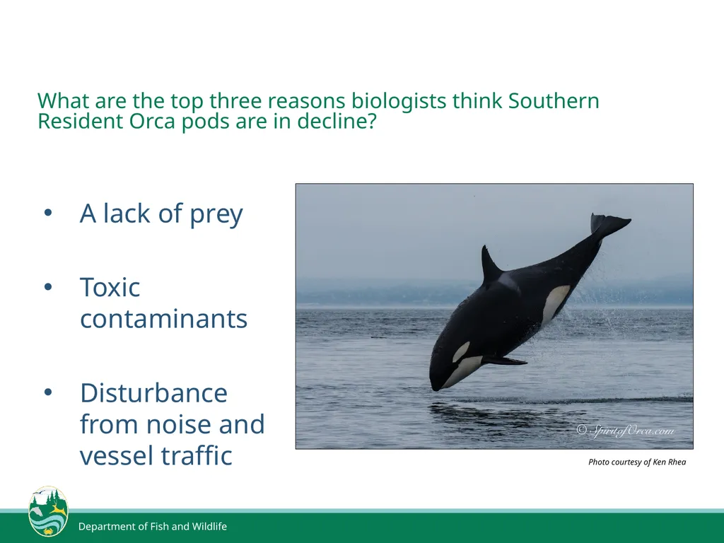 Declining Populations Biologists have noticed a - slide 2 of 8