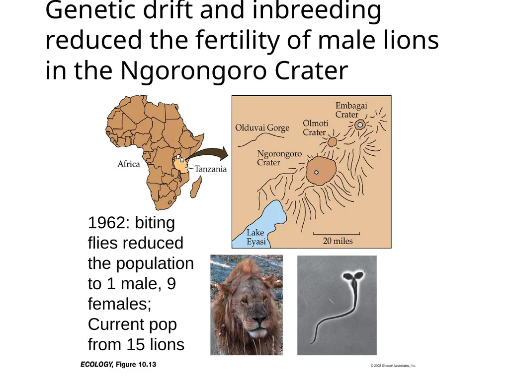 ESM221 Spring 2017 Lecture 6: population - slide 26 of 32