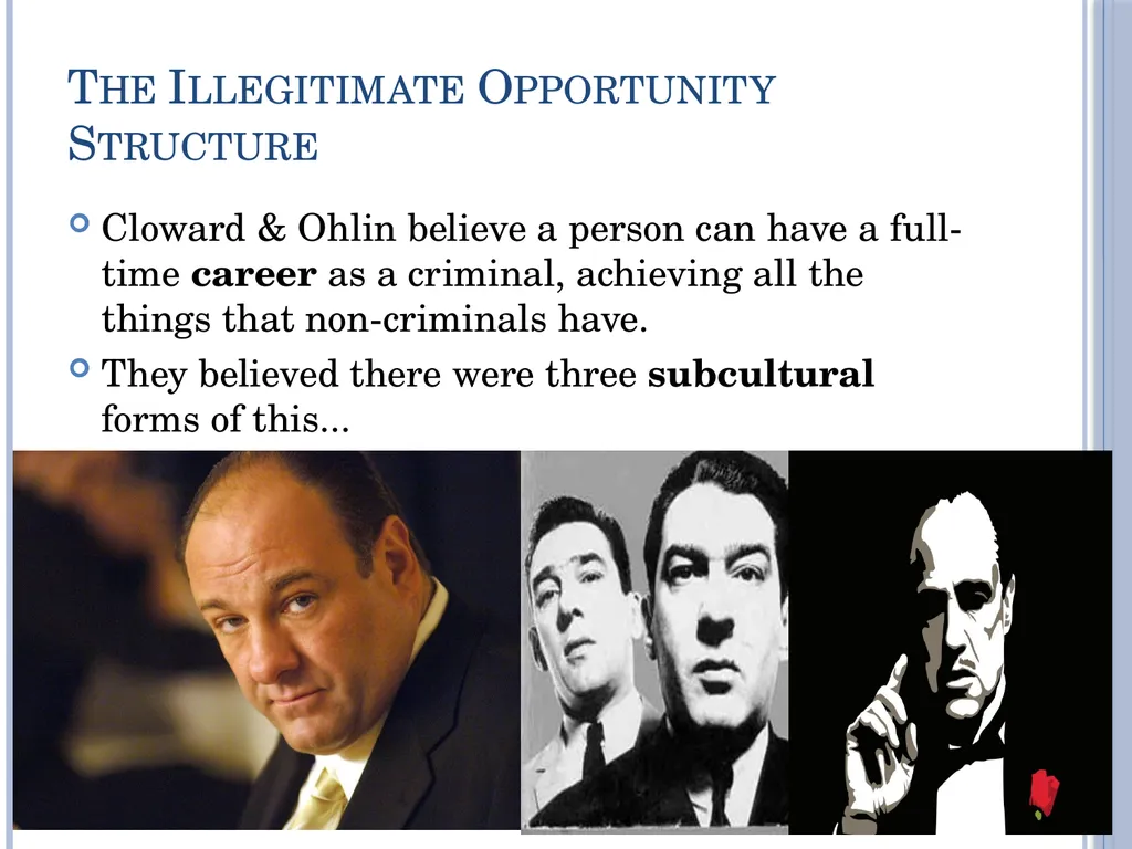 Subcultural Explanations for Crime & Deviance G674 - slide 10 of 46