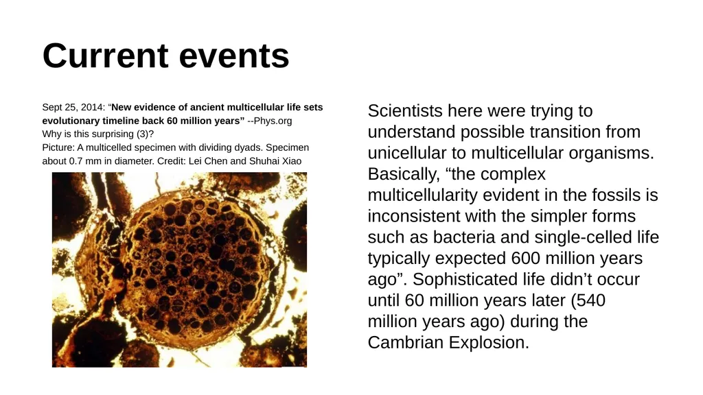 First section: Open-ended Instructions: explain - slide 21 of 21