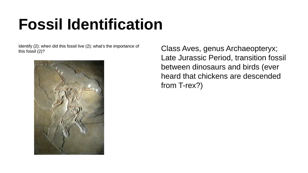 First section: Open-ended Instructions: explain - slide 17 of 21