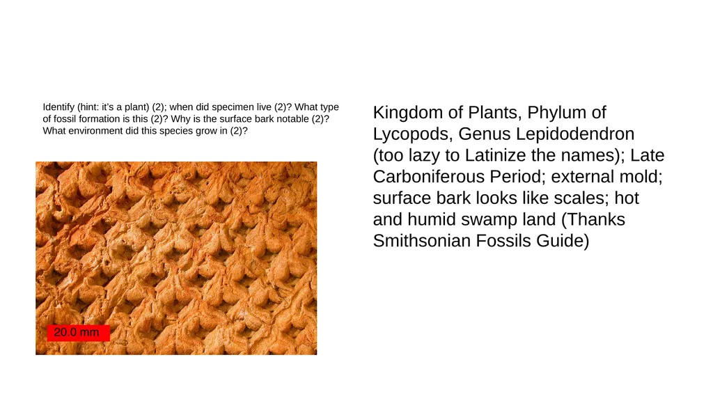First section: Open-ended Instructions: explain - slide 18 of 21