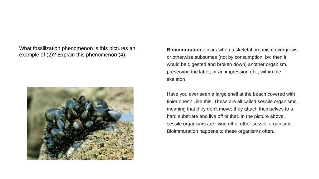 First section: Open-ended Instructions: explain - slide 20 of 21